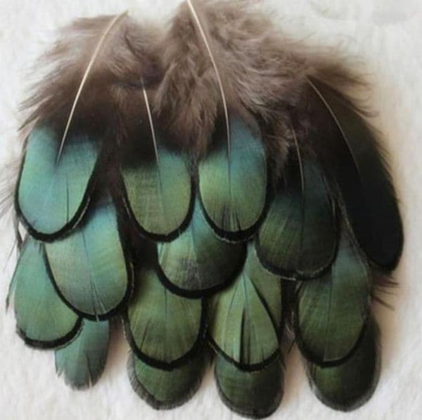 Wholesale Craft Green Copper Chicken Verdigris Natural Pro Cleaning Feathers Diy Jewelry Bag Necklace Headband 47Cm Drop B2