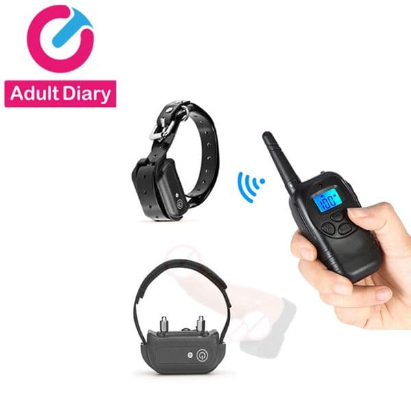 Adult Diary Remote Control Electro Stimulation Penis Ring / Neck Collar SM Electric Shock Sex Toys, Electro Shock Sex Products Y191112