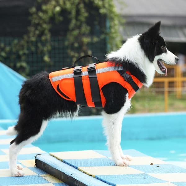 Pet Dog Life Jacket Safety Clothes Life Vest Swimming Clothes Swimwear for small big dog Husky french bulldog dog accessories 201127