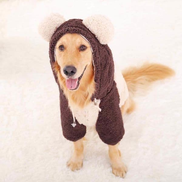 Big Dog Clothes For Golden Retriever Dogs Coat Large Size Autumn Winter Dogs Hoodie Pet Apparel Clothing For Dogs Costume Pug 201127