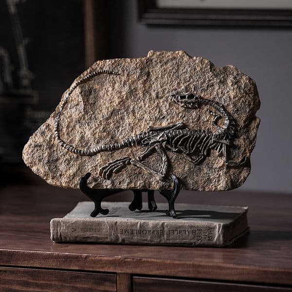 Resin Dinosaur fossil figurines desk home decoration accessories Dinosaur skull sculpture room ornament home decor LJ200903