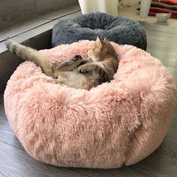 Pet Dog Bed Basket Dogs Beds For Large Bench Mat Chihuahua Kennel For Pet Supplies Sofa Dog House For Cat Big Cushion Products 201126