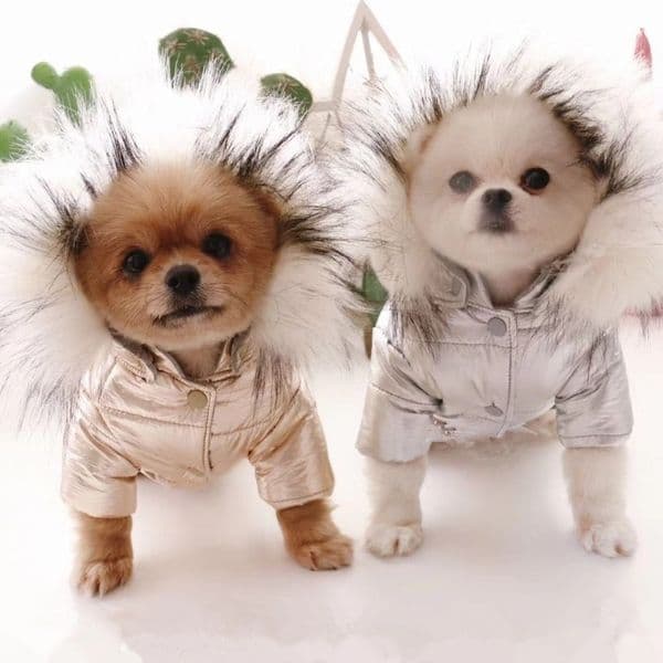 Waterproof Dog Coat Jacket Warm Dog Clothes Winter Pet Outfit Cat Puppy Yorkie Clothing Chihuahua Poodle Pomeranian Dog Costumes 201128