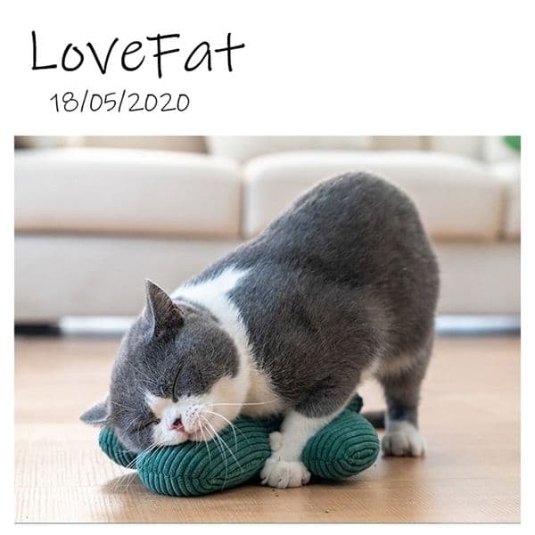 Funny cactus Interactive Plush Cat Toy Teeth Grinding Catnip Toys Kitten Playing Pillow Claws Thumb Bite Cat mint For Cats hot 201217