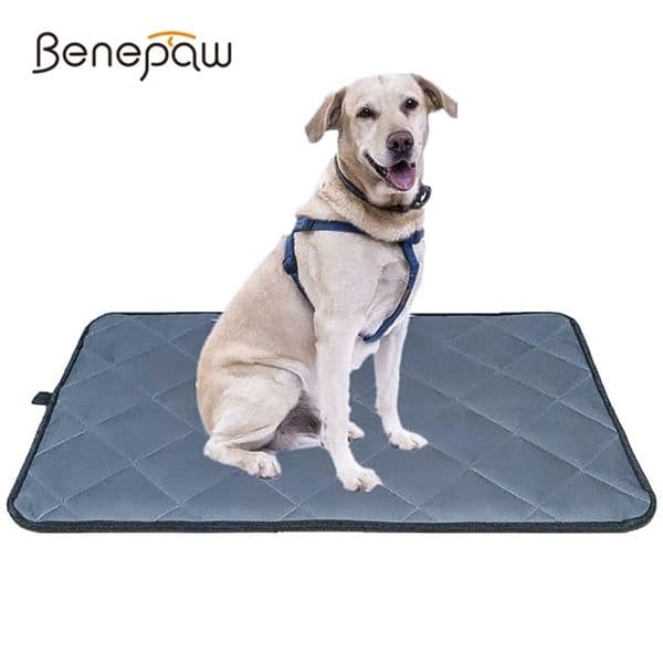 Benepaw All season Bite Resistant Dog Mat Antislip Waterproof Pet Bed For Small Medium Large Dogs Washable Crate Pad 201130