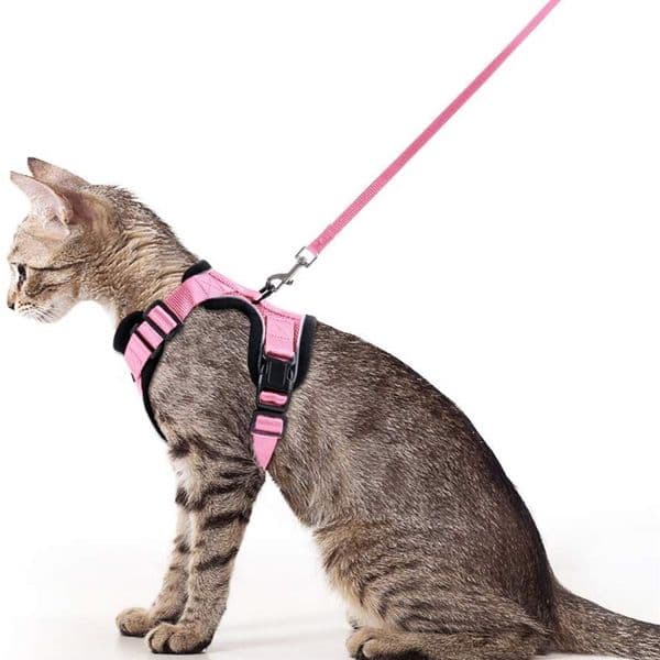 Reflective Pink Cat Vest Harness With Leash Set For Walking Soft Mesh Small Dog Harness for Small Medium Kitten Puppy Rabbit LJ201225