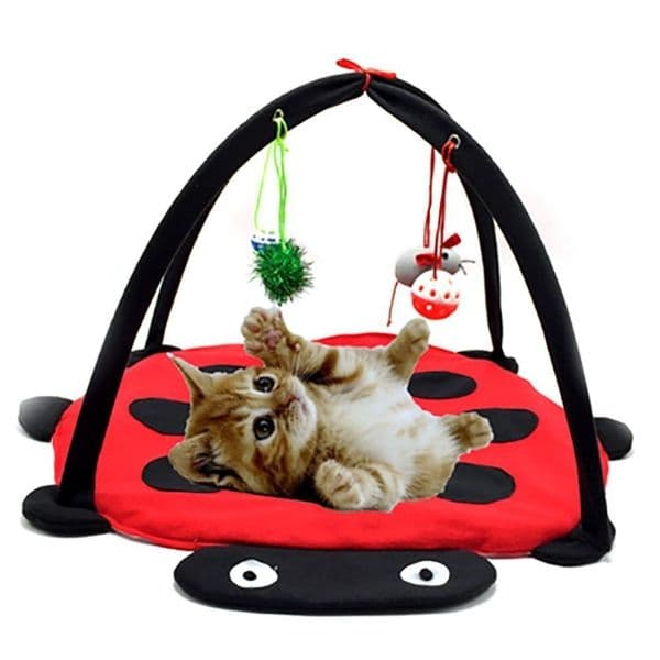 Pet Play Cat Tent Bed Funny Colorful Kitten Pad Cushion Exercise Folding Toy Cat Hammock Bed For Cat Bed Ladybird Stripe Leopard 201126