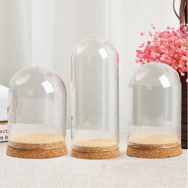 Glass Bottle Terrarium Jar W/ Cork Base Dome Dust Cover For DIY Specimen Succulent Plant Micro Landscape Flower Vase Display Box L260523