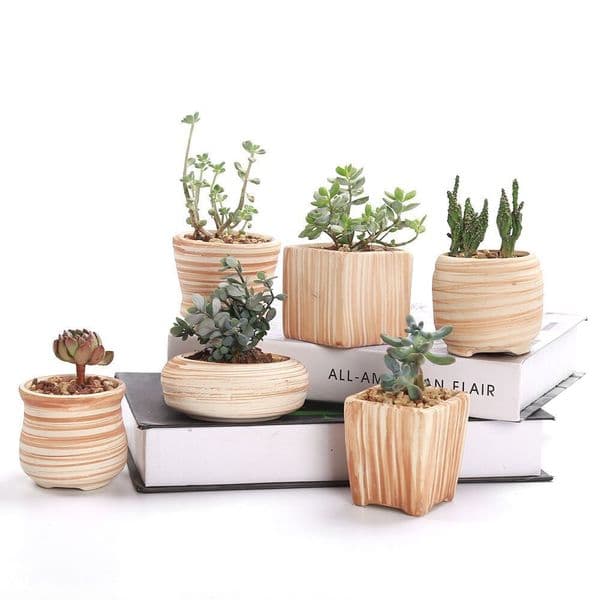 Yard Decor Sun-E 6 In Set 3 Inch Ceramic Wooden Pattern landscape Succulent Cactus Plant Flower Pot Container Planter Gift Idea Garden Ornament