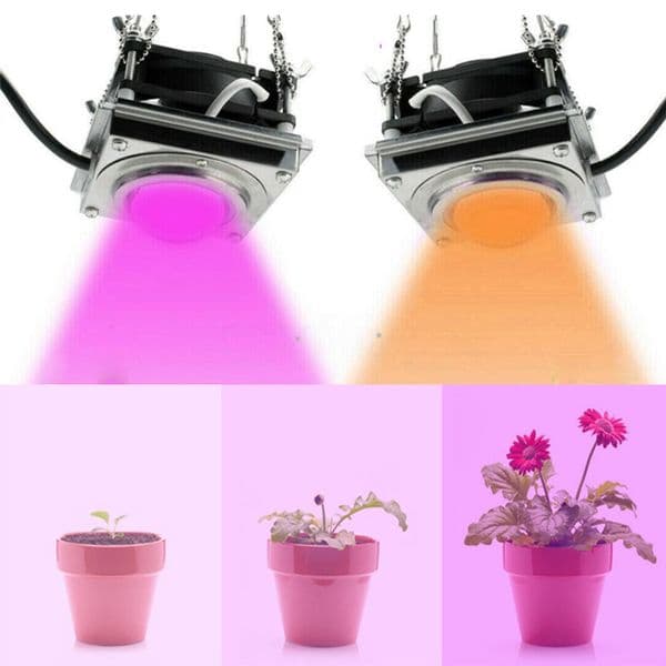 LED Grow Light 2000W Indoor Plants COB Full Spectrum Plant Lights Growth Lamp Tent Box Lamps For Home Planting Flowers