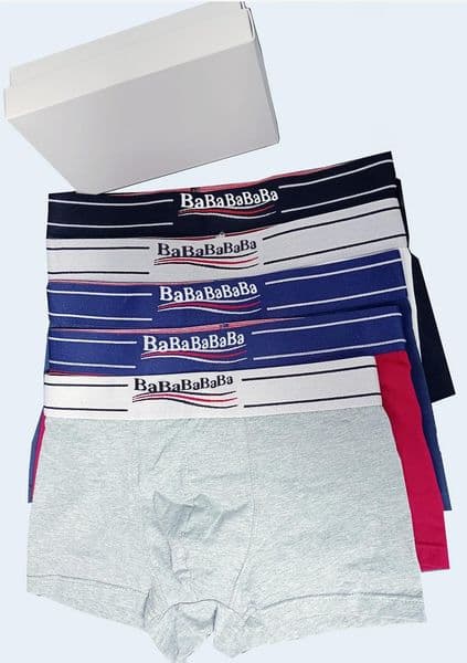 3pcs/lot Mens Underwear Underpants Boxer Organic Cotton Shorts Modal Sexy Gay Male Boxers Breathable New Mesh Man Underwear Size M-XXL