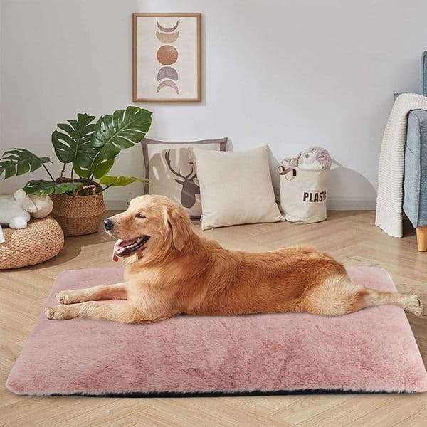 Soft Dog Cat Bed Mat Warm Pet Dog House Soft Fleece Puppy Sleeping Cushion Nest Mattress Autumn Winter Sofa Beds Kennel Washable 211009