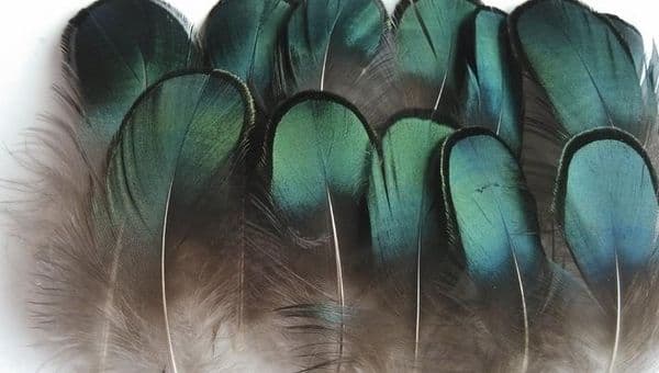 Wholesale Craft Green Copper Chicken Verdigris Natural Pro Cleaning Feathers Diy Jewelry Bag Necklace Headband 47Cm Drop B2