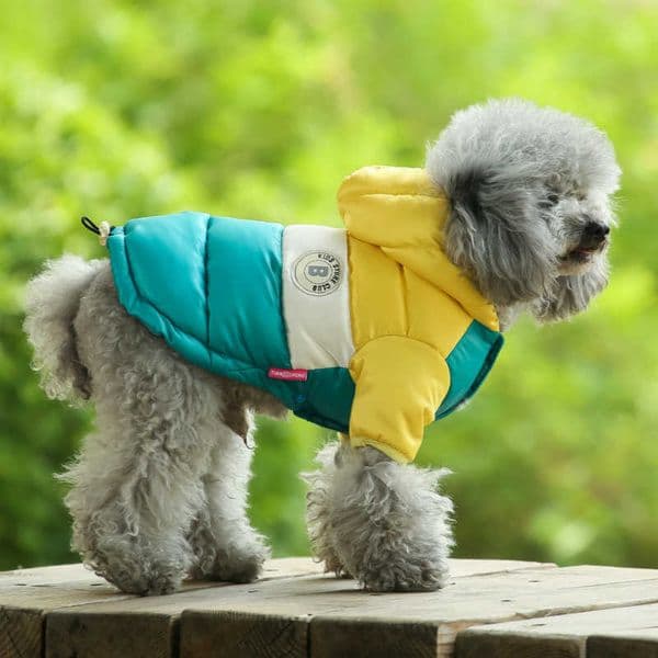 Winter Warm Dogs Clothes For Small Pet Dog Coat Jacket Clothing Costume Puppy Hoodie Light-weight Two Legs Manteau Chien Bulldog 211007
