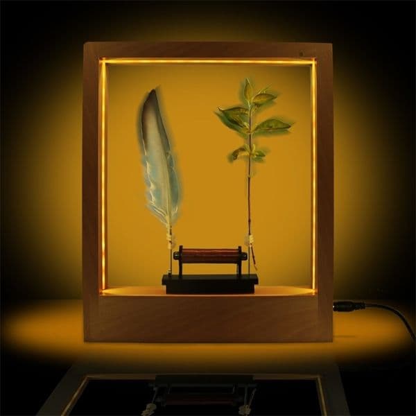 Slow Motion Frame LED Optical Illusion Sculpture Down Time Action Picture Lightweight Object Desktop Decor 211105