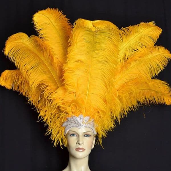 200pcs/pack 10-12 inch Ostrich Feather Party Decoration Plume Craft Supplies Wedding Table Centerpieces/web celebrity wall Decoration Hat accessories