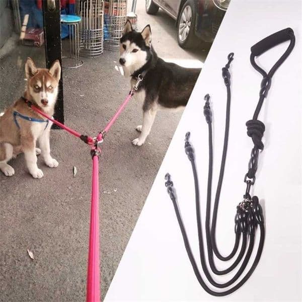 Nylon Double Leashes Detachable Pet Lead Climbing Foam Cotton Handle 1 Leash for 2 or 3 or 4 Dogs Small Dog Retraction Rope 201126