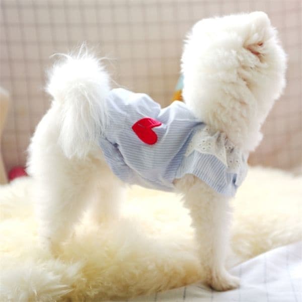Spirng Summer Dog Clothes Lace Doll Shirt Warm for Small Dogs Costumes Coat Jacket Puppy Pets Outfits T200710