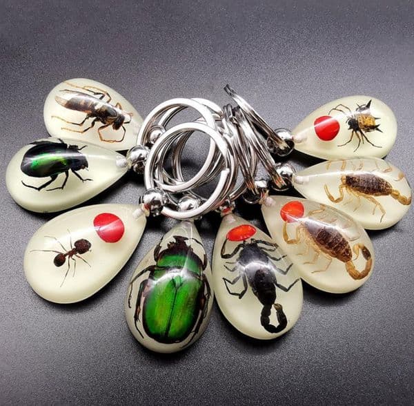 Insect in Resin Specimen Keyring Teacher Students Discovery Science Education Props Luminous Glow in The Dark Bug Keychains