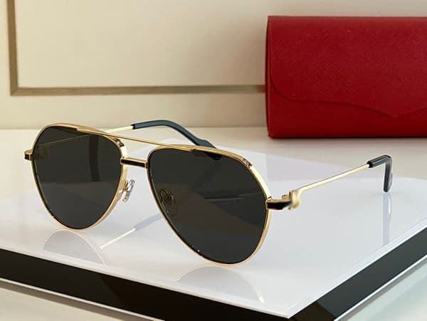 NEW Black Designer Vintage Sunglasses for Men Hot C Decoration Oval Shape Face Double Bridge PREMIERE Unisex Driving glasses 18K gold metal frame Eyewear Lunettes
