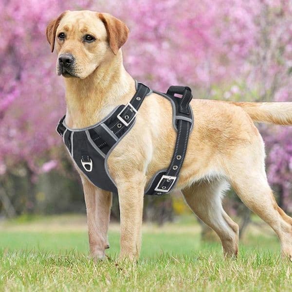 Big Dogs Harness Jacket Collar for Large Dog Leads Adjustable Pet Vest Walking Lead Leash Harnesses for Dog Supplies 201101