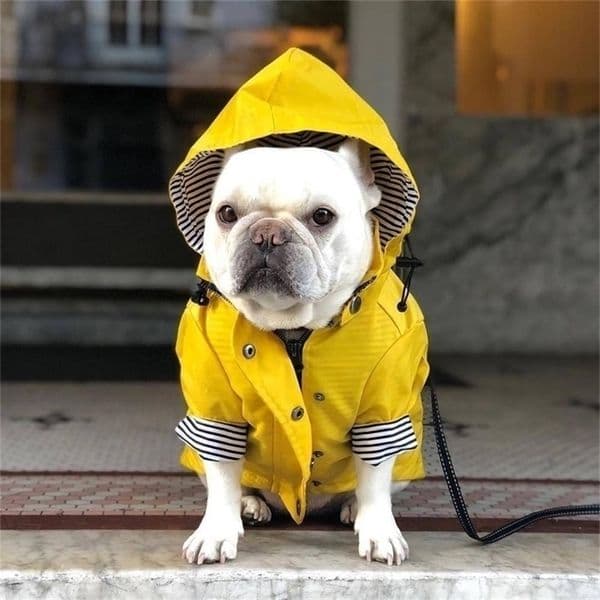 Fashion Pet Clothes Raincoat For Pet Dogs Small Fat Dogs Clothes Bulldogs Coats Outdoor Sportswear For Puppy Clothes 201102
