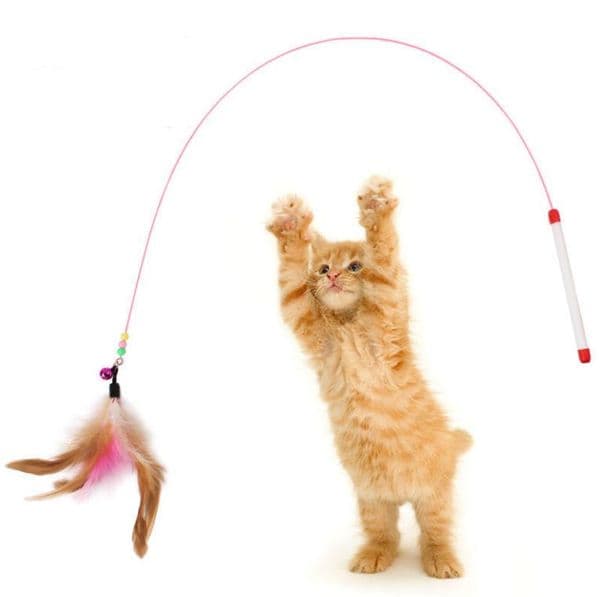 Cat Feather Wand Toy Steel Wire Bell Interactive Pet Stick Kitty KittenTraining Exerciser Teaser Stick Replacement Heads