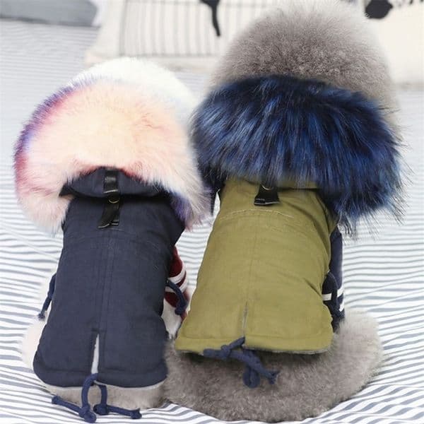 2026 New Winter Clothes Y Fur Collar Coat Small Warm Fleece Lined Et For Dog Pet Chihuahua Clothing 30S1 Free Shipping