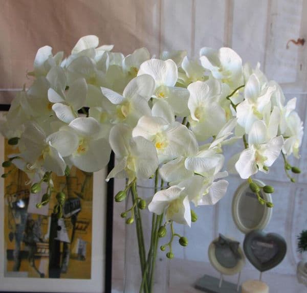 Wholesales Moth Orchid Flower Butterfly Orchid Artificial Flower For Home Wedding Decorations Wedding Table Centerpiece Backdrop Orquidea Mariposa Artificial