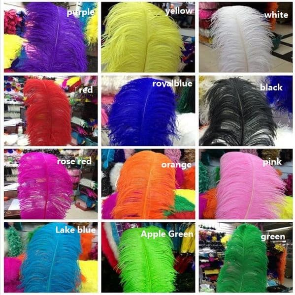 ostrich feathers for Wedding centerpiece Table centerpieces Party Decoraction supply multi color many size to choose free shipping WT035