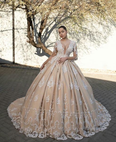 Champagne Ball Wedding Dress Deep V Neck Long Capped Sleeves Beaded Lace Applique Sheer Illusion Bodice Covered Button Back Tulle Court Train Modern Bridal Gown