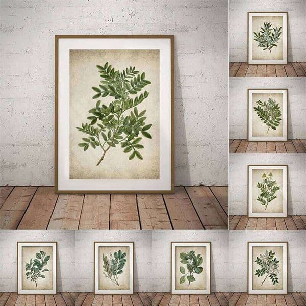 Vintage Green Leaf Botanical Poster Canvas Print Kitchen Wall Art Pictures Retro Painting Plant Posters Living Room Home Decor 26N0104