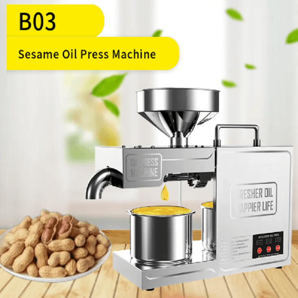 High Quality Stainless Steel Home Use Coconut Walnut Seeds Oil Extraction Machine For Sale