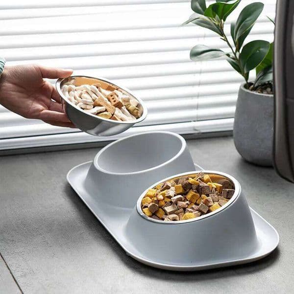 Stainless Steel Leak Proof Anti Overturning Double Pet Dog Cat Basic Food and Water Set Feeding Bowl 26Y0110