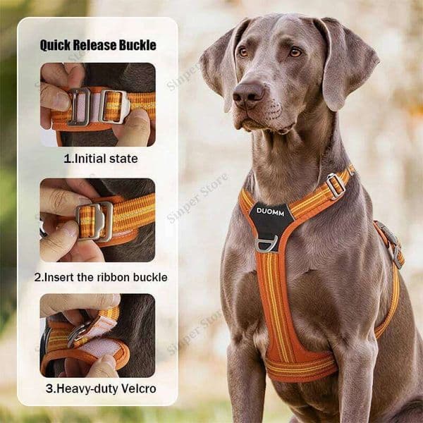 Harness and Leash Set for Large Dogs Heavy Duty No Pull Service Vest with Dog Seat Belt Reflective Adjustable Pet Harnes 26H0111