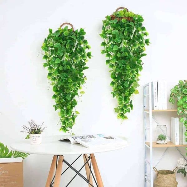 NEW Simulated Apple Hanging Flower Vine Wall Living Room Green Plant Leaf Decoration Chlorophytum Comosum 26W0112