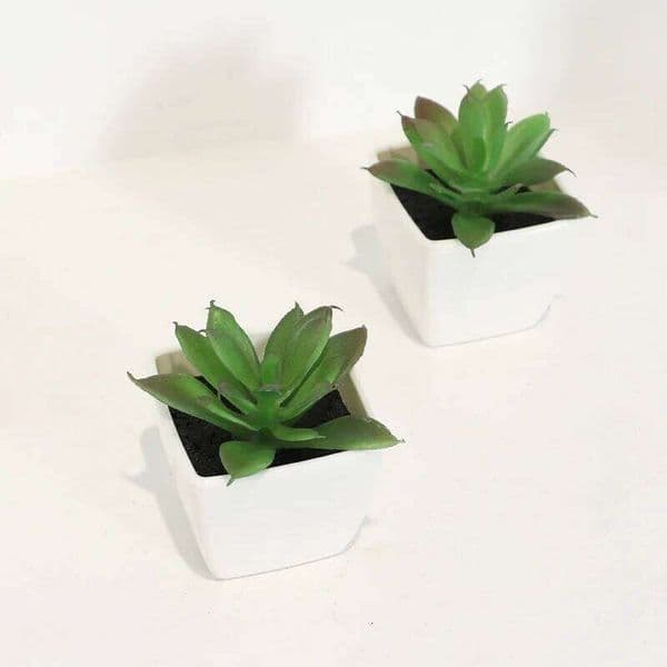 1PC Mini Artificial Succulent Plastic Potted Plant, Office Desktop Display Rack And Bookshelf Decoration 26W0112
