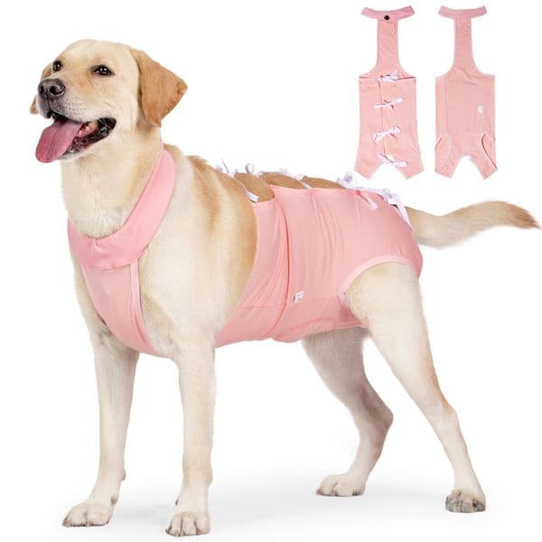 2026 New Cotton Surgery Recovery Thigh Wound Protective Sleeve Dogs Clothing Dog Neutering Suit Surgical Onesie For Puppy Free Shipping