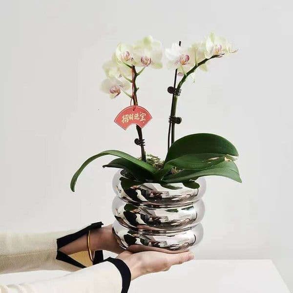 Simple Ceramic Office Green Plant Flowerpot Wind Silver Small Vase Flower Arrangement Decor Desktop Ornament 26L0115