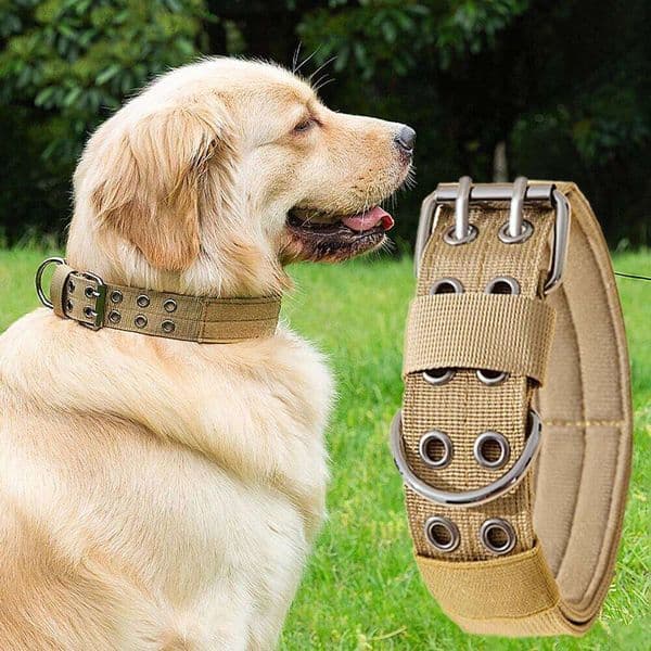 Adjustable Military Collar Metal D-Ring Buckle Working Dog Collar, Five-Level Adjustment for Medium and Large Dogs 26W0115