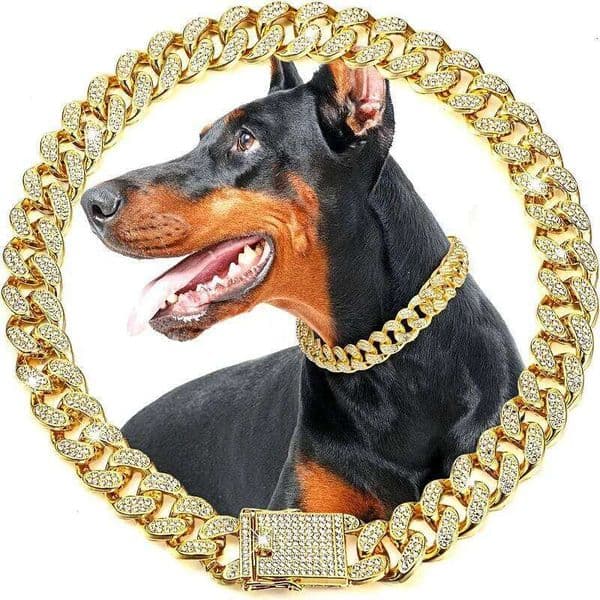 Valentine's Day Dog Luxury Gold Metal Chain Collar For Small Medium Large Dogs Cats Pet Jewelry Necklace Accessorie 26H0114