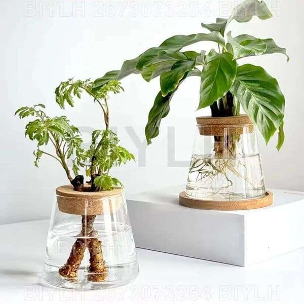 2/1 Pcs Hydroponic Plants Glass Flower Home Decoration Transparent Small Vase Plant Pots With Base Tray Garden Accessories 26L0115