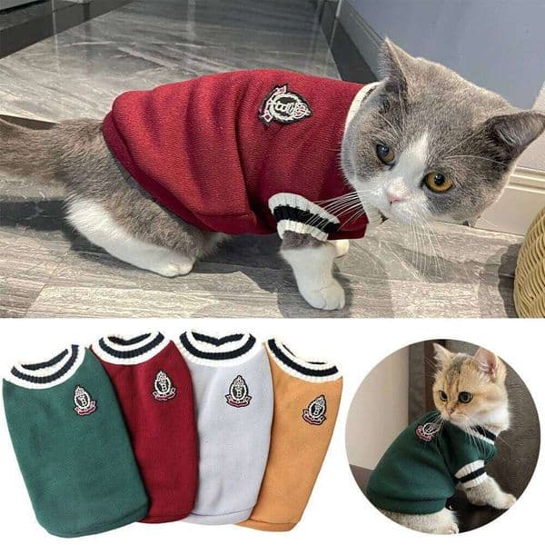 Cat Clothes Winter Jacket for Small Dogs Kitten College Style Leisure Pullover Solid Sweater Sphynx Clothing Pet Costume Outfits 26H0116
