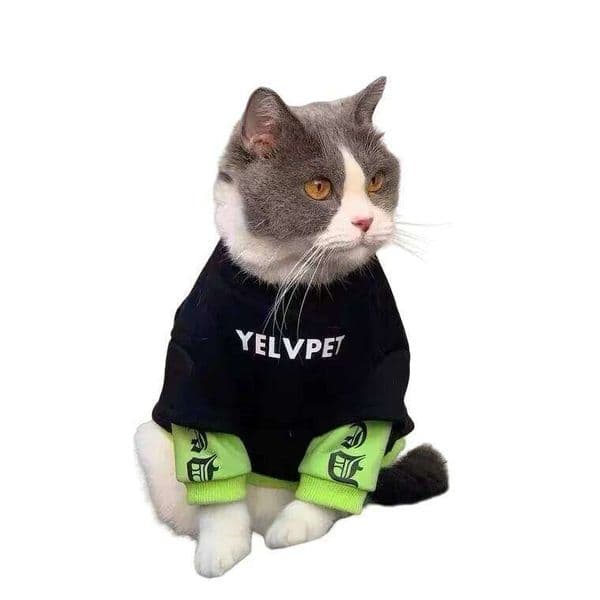 Puppet Blue Anti Hair Small Schnauzer Pet Plush Sweater Autumn/Winter Cat Dog Fashion Brand Clothing 26H0116