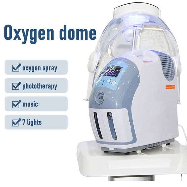 SPA LED Light Therapy The Photon Beauty Whitening Beauty Spot Removal Wrinkle Removal Moisturizing Skin Rejuvenation Machin