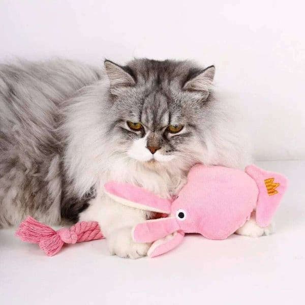Supet Pet Octopus Plush Rope Toy Is Bite-resistant, Fun Interactive, Suitable for Indoor and Outdoor Use 26W01122