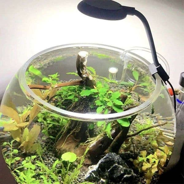 Fish tank USB small mini LED lighting high brightness aquarium water grass supplementary light transparent clip 26L0123