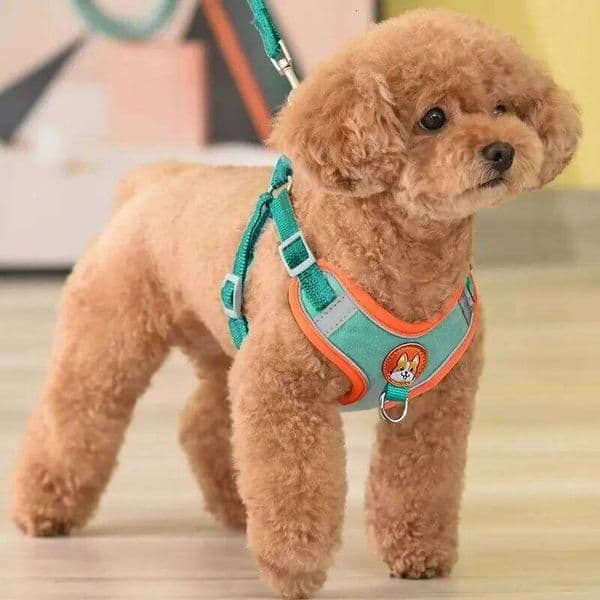 Adjustable No Pull Reflective Pet Harness Lead Walking Running Leashes Dog Cat Chest Strap Vest Leash 26W01123