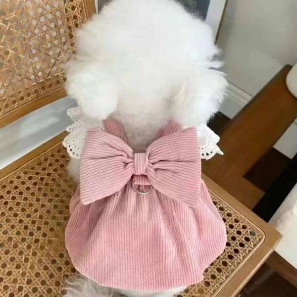 Pet Clothing Autumn/Winter New Corduroy Pumpkin Pulling Buckle Teddy Cat Warm Lace Skirt Puppy Dresses for Small Dogs C260126