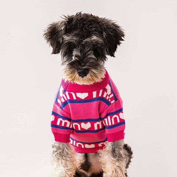 Spring Autumn Pet Puppy Thick Sweater Designer Luxury Warm Dogs Clothes Small And Medium Sized Dog Chihuahua Schnauzer Clothing